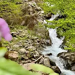 Apartmán Berghaus Wanderlust Mallnitz