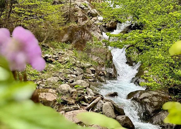 Appartement Berghaus Wanderlust Mallnitz