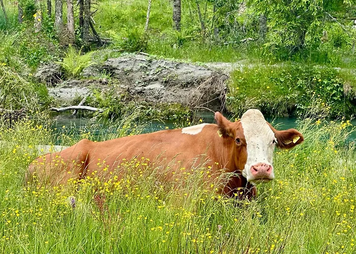 Apartamento Berghaus Wanderlust *
